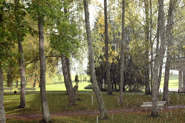 Similar image 1730743