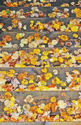 Similar image 1730748