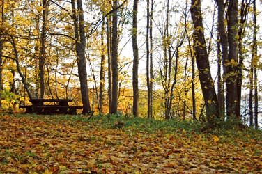 Similar image 1730749