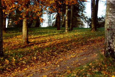 Similar image 1730751