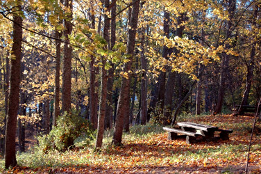 Similar image 1730752