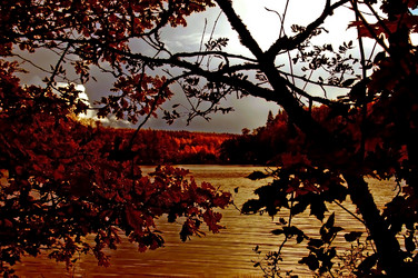 Similar image 1730753