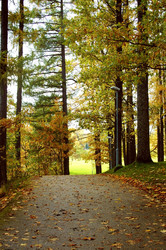 Similar image 1730754