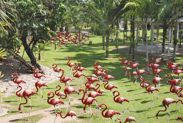 Similar image 1730755