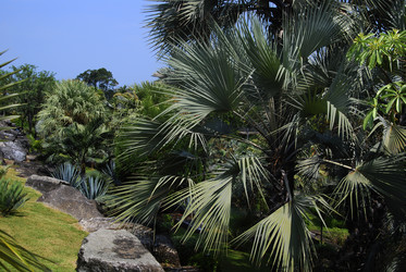 Similar image 1730757