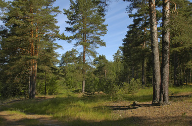 Similar image 1730778