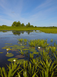 Similar image 1730782