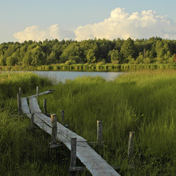 Similar image 1730797