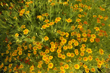 Similar image 1730799