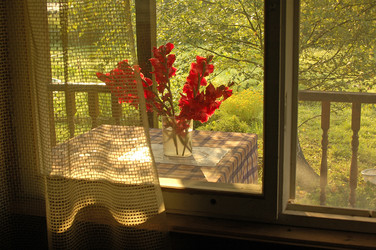 Similar image 1730800