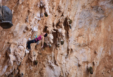 Similar image 1730815