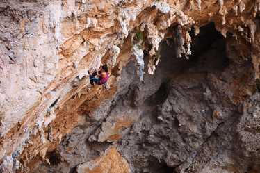 Similar image 1730816