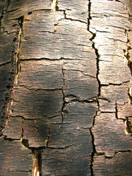 Similar image 1730970