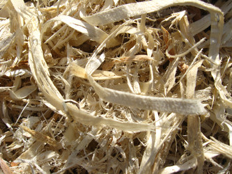 Similar image 1730971