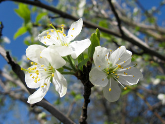 Similar image 1730975