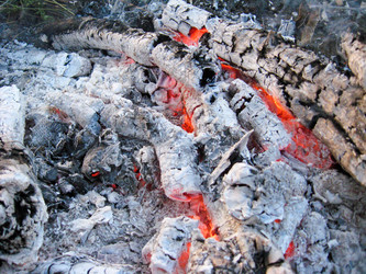 Similar image 1731002