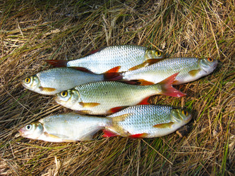 Similar image 1731010