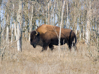 Similar image 1731044