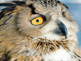 Similar image 1731057