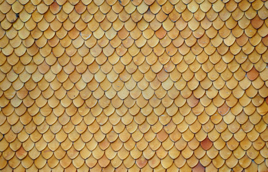 Similar image 1731175