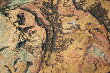 Similar image 1731185