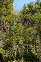 Similar image 1731207