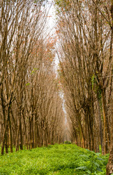 Similar image 1731223