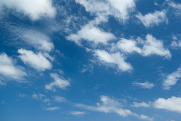 Similar image 1731226