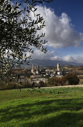 Similar image 1731426