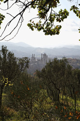 Similar image 1731434