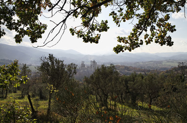 Similar image 1731440