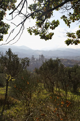 Similar image 1731455