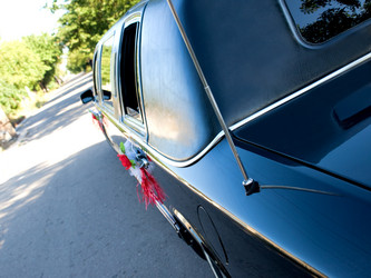 Similar image 1731622