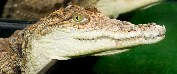 Similar image 1731627