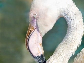 Similar image 1731633