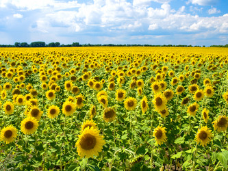 Similar image 1731642