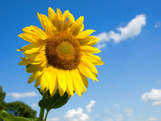 Similar image 1731649