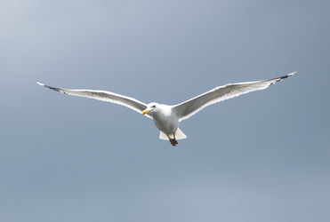 Similar image 1731653