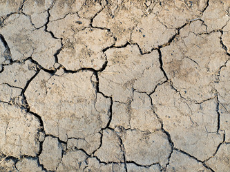 Similar image 1731662