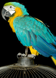 Similar image 1731663