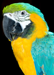 Similar image 1731678