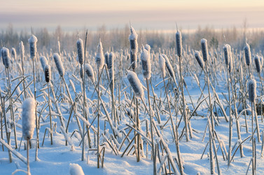 Similar image 1731750