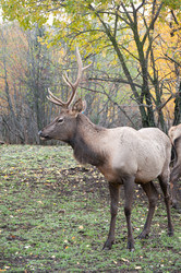 Similar image 1731895