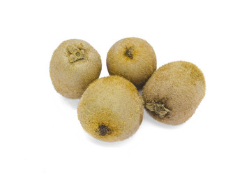 Similar image 1731910