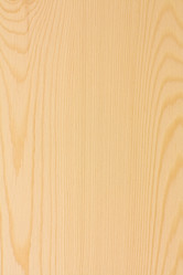 Similar image 1732005