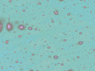 Similar image 1732020