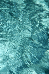 Similar image 1732039