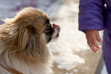 Similar image 1732108