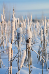 Similar image 1732199