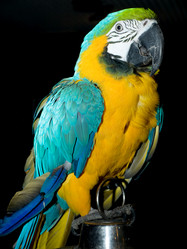 Similar image 1732208